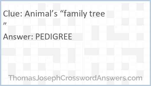 Animal’s “family tree” Answer