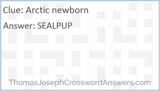 Arctic newborn Answer