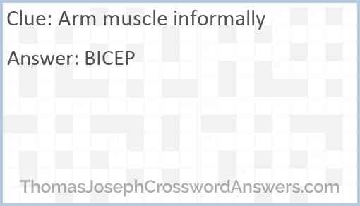 Arm muscle informally Answer