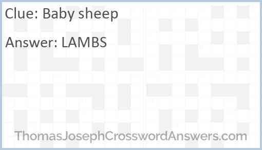 Baby sheep Answer