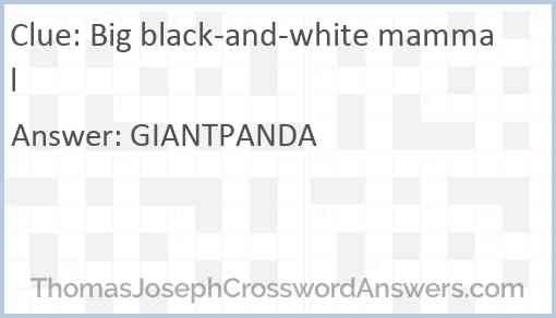 Big black-and-white mammal Answer