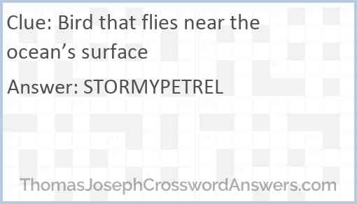 Bird that flies near the ocean’s surface Answer