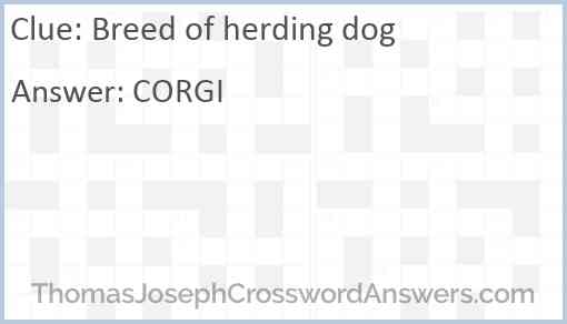 Breed of herding dog Answer