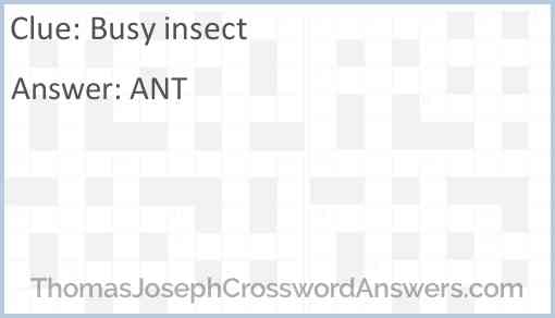 Busy insect Answer