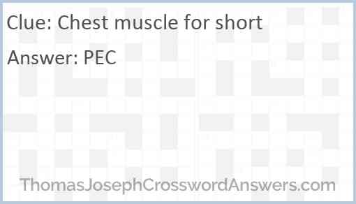 Chest muscle for short Answer