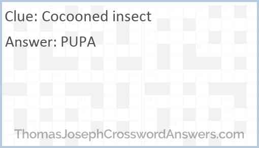 Cocooned insect Answer