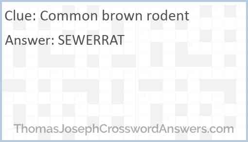Common brown rodent Answer
