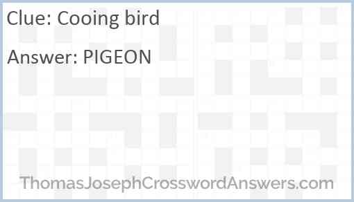 Cooing bird Answer