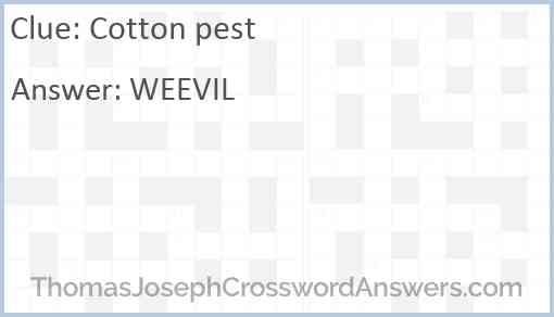 Cotton pest Answer