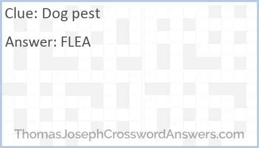 Dog pest Answer