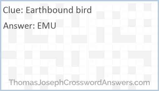 Earthbound bird Answer