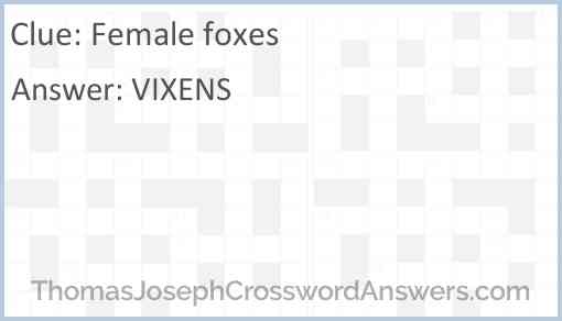 Female foxes Answer