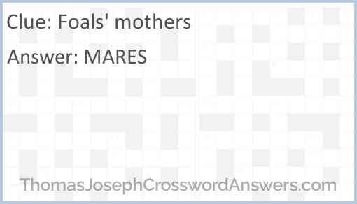 Foals’ mothers Answer