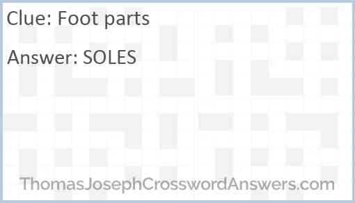Foot parts Answer