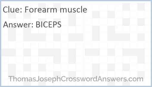 Forearm muscle Answer