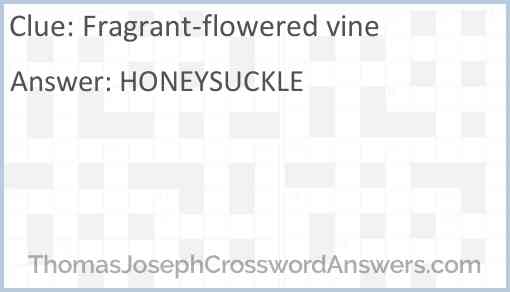 Fragrant-flowered vine Answer