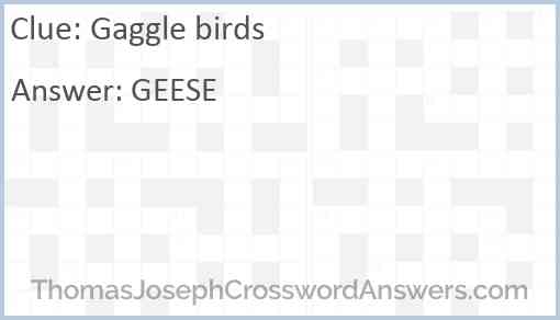 Gaggle birds Answer
