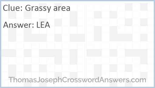Grassy area Answer