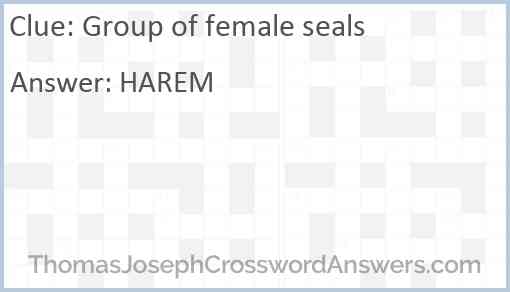 Group of female seals Answer