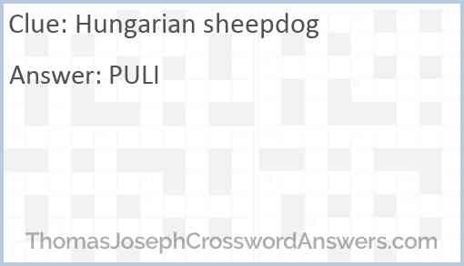 Hungarian sheepdog Answer