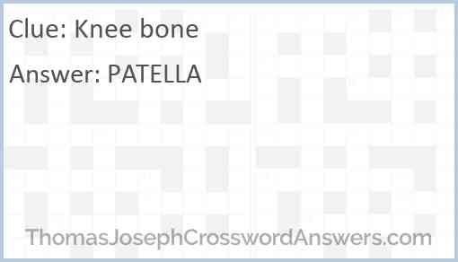 Knee bone Answer