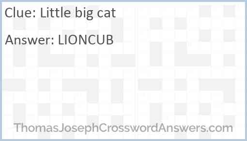 Little big cat Answer
