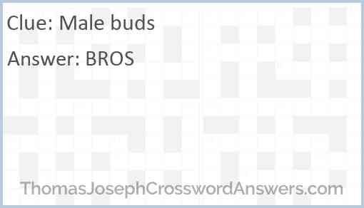 Male buds Answer