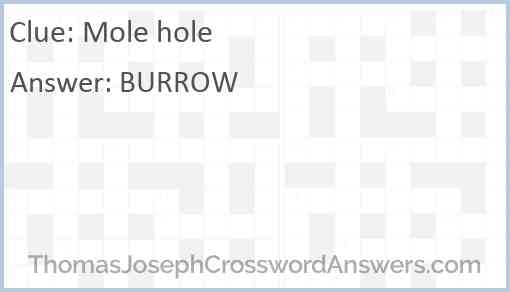 Mole hole Answer