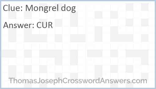 Mongrel dog Answer