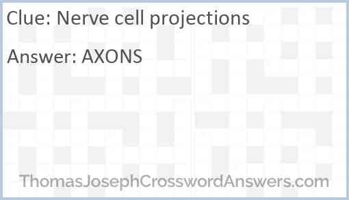 Nerve cell projections Answer