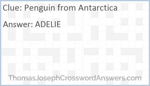 Penguin from Antarctica Answer