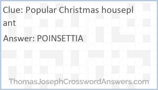 Popular Christmas houseplant Answer