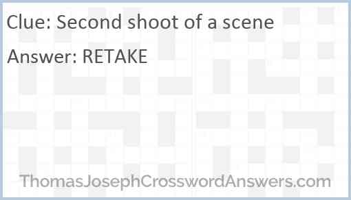 Second shoot of a scene Answer