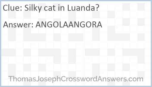 Silky cat in Luanda? Answer