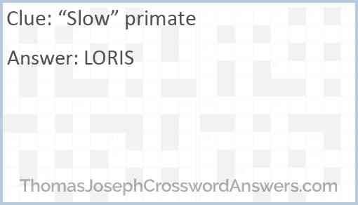“Slow” primate Answer