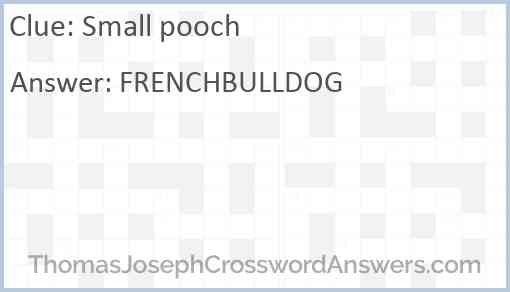 Small pooch Answer