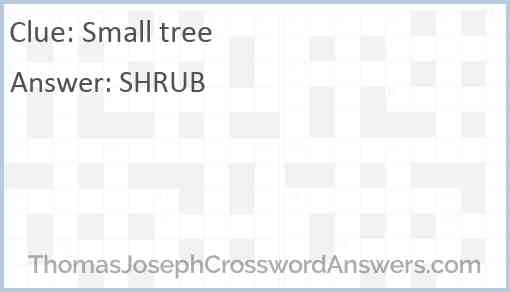 Small tree Answer