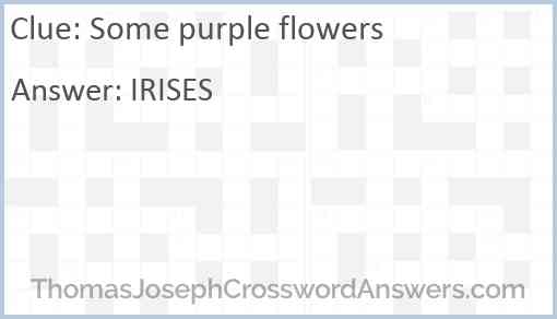 Some purple flowers Answer