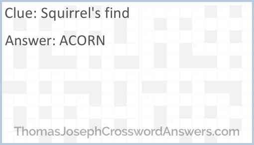 Squirrel’s find Answer