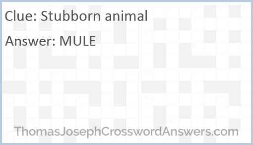 Stubborn animal Answer