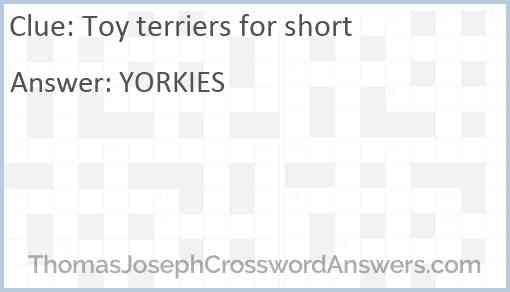 Toy terriers for short Answer