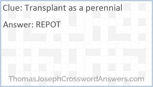 Transplant as a perennial Answer