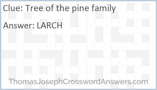 Tree of the pine family Answer