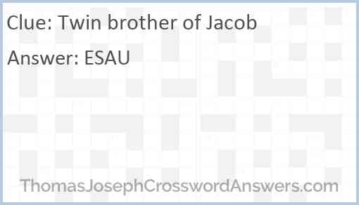 Twin brother of Jacob Answer