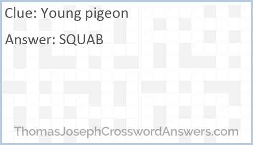Young pigeon Answer