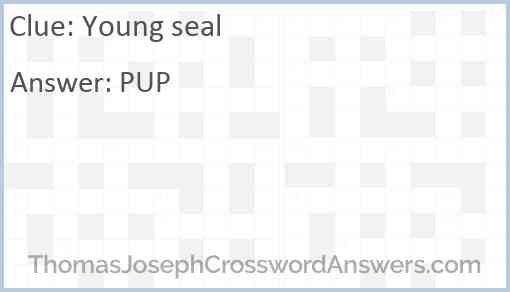 Young seal Answer
